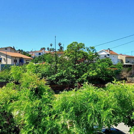 הוילה וילה ורדה Casa Do Artista מראה חיצוני תמונה